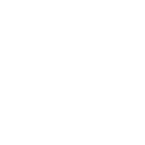 2 (9)