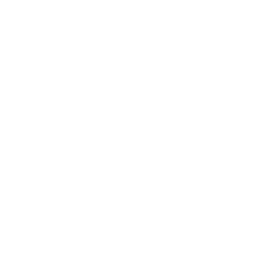 הפלמח 47 לבן (1)