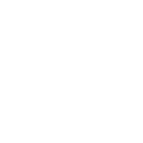 עותק של מתחם הנשיא לבן