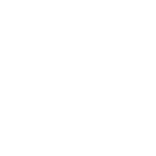 עותק של צהל 64 לבן